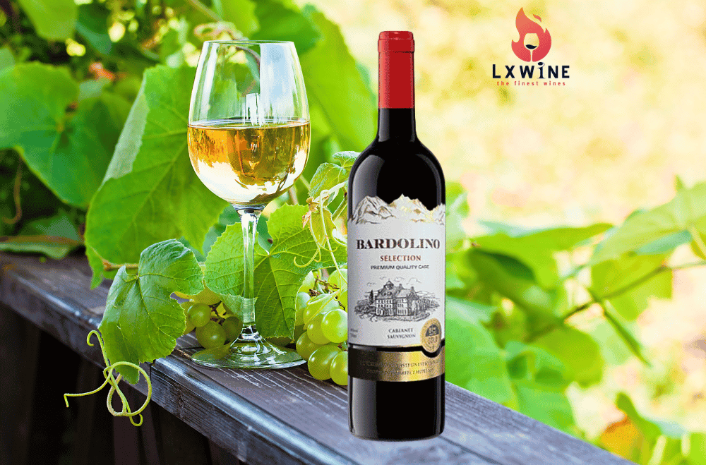  Vang Bardolino Selection